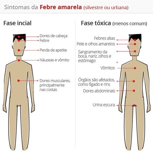 febre-amarela-650